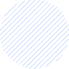 About the Principal Consultant